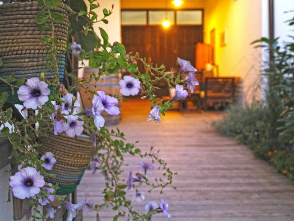 Apartment Landart Illmitz Exterior foto